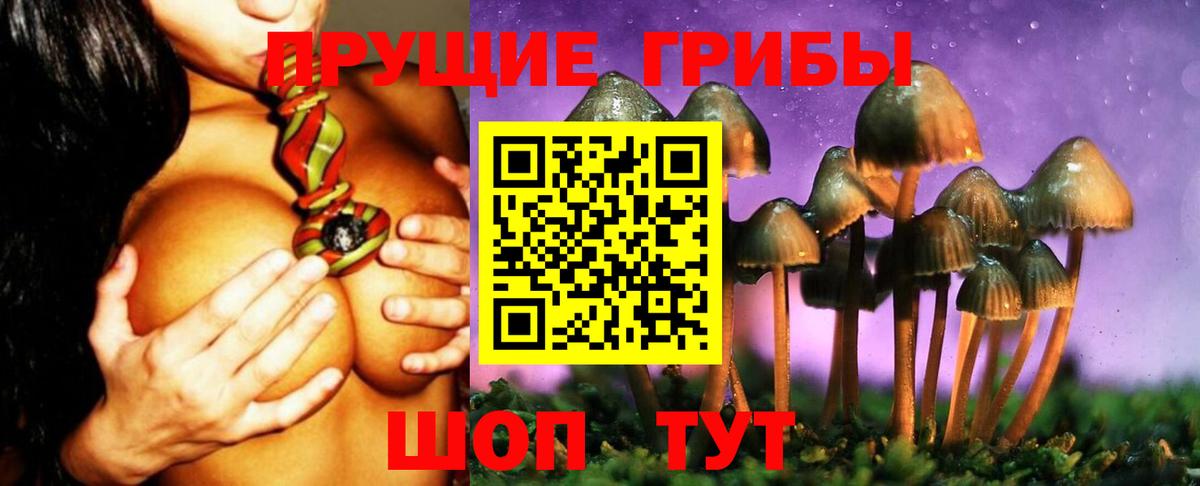 Псилоцибиновые грибы прущие грибы  Вход с VPN  Лыткарино 